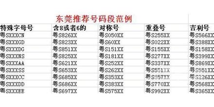 东莞最新车牌号段详解及发布分析