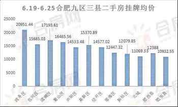 合肥市房价最新动态，市场走势分析与购房指南