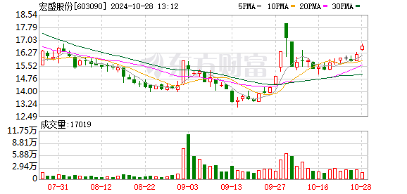 宏盛股份最新消息全面解读与分析