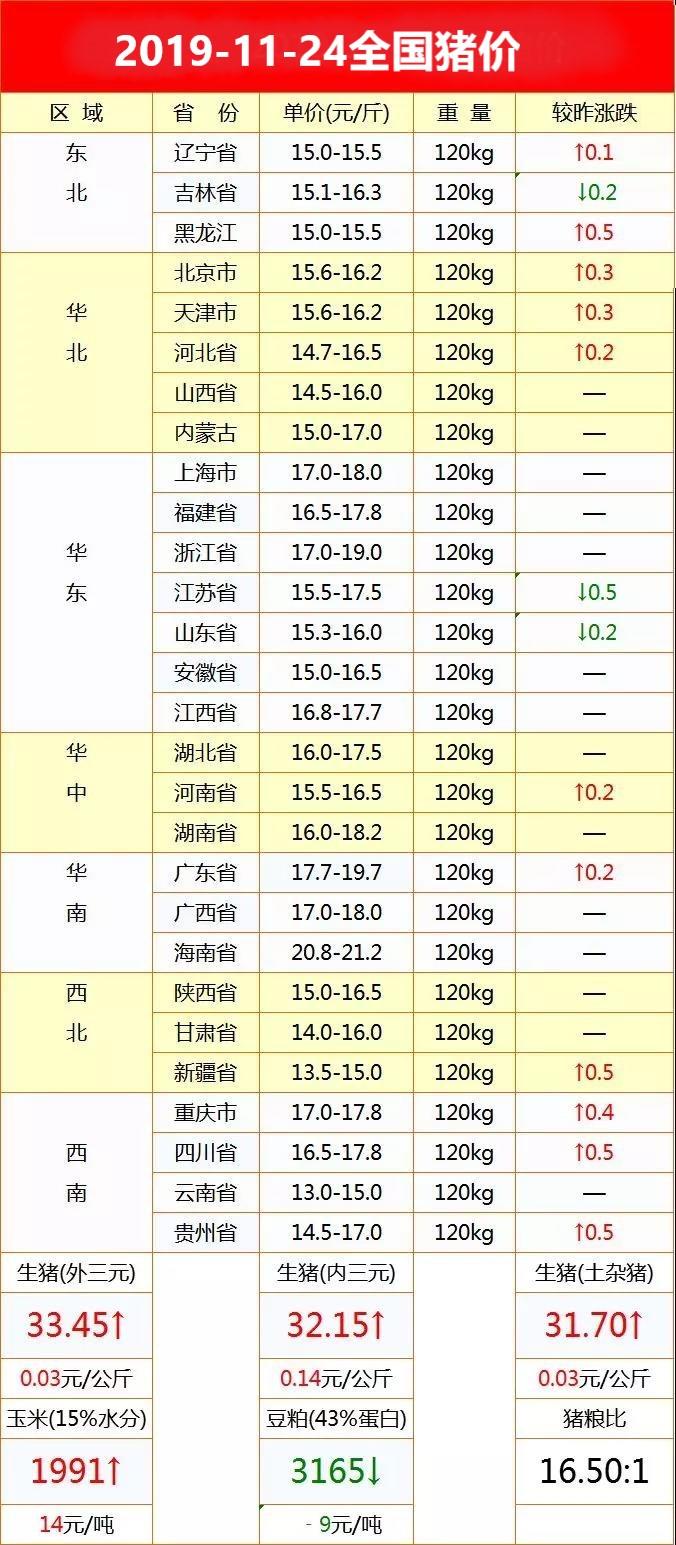 全国生猪价格最新动态分析与今日猪价概述