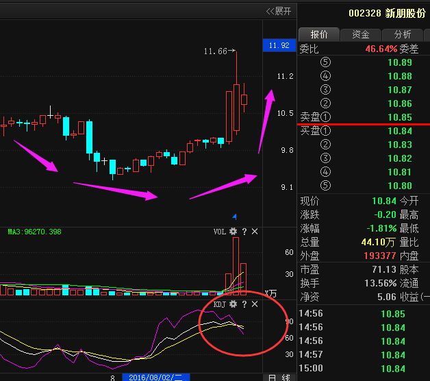 新朋股份最新消息全面解读与分析