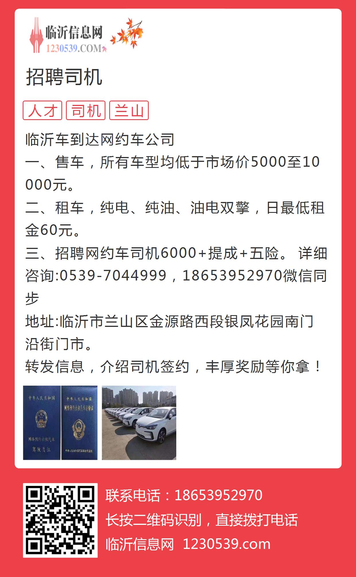 临沭司机招聘最新动态，行业趋势与就业机会深度解析