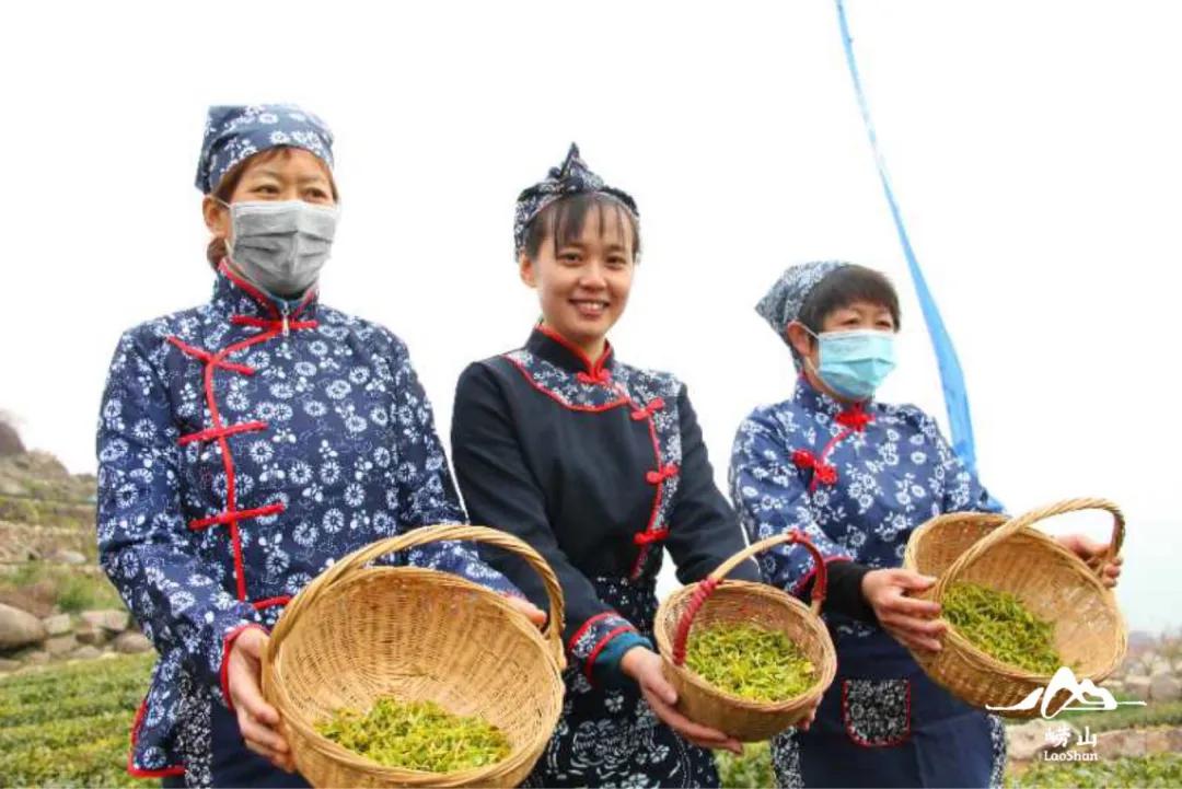 青岛崂山揭开神秘面纱，壮丽景色与新发展篇章的揭秘报道