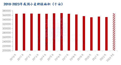 山东小麦今日价格动态解析