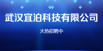 武汉人才网最新招聘动态深度解读与解析