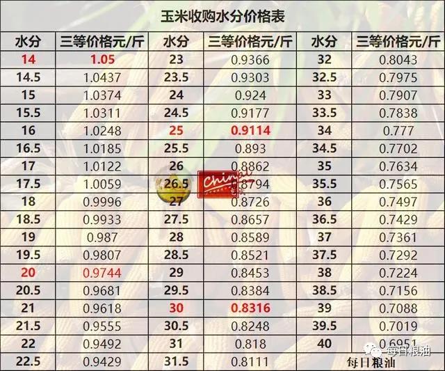 天津玉米价格最新行情概览