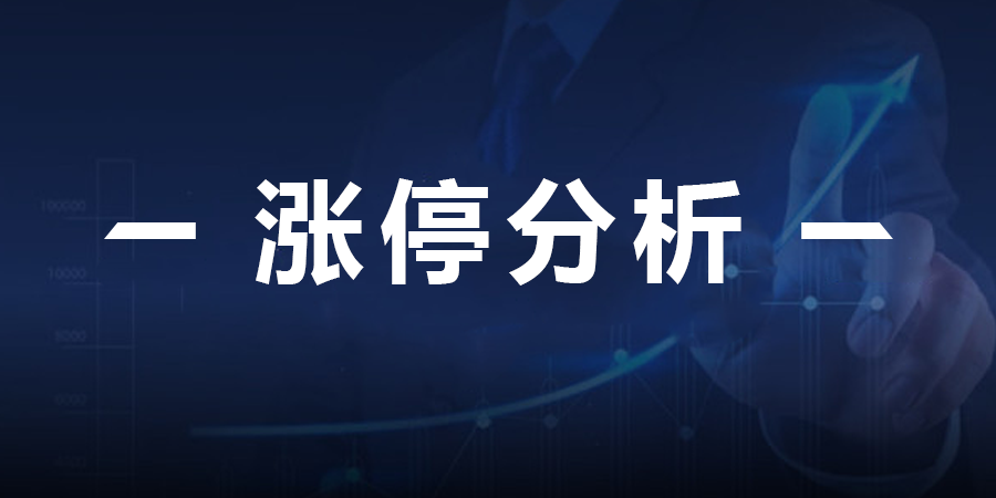 今日财经新闻概览，市场动态深度解析