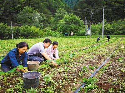 宁陕县科技局等多单位最新招聘信息汇总发布