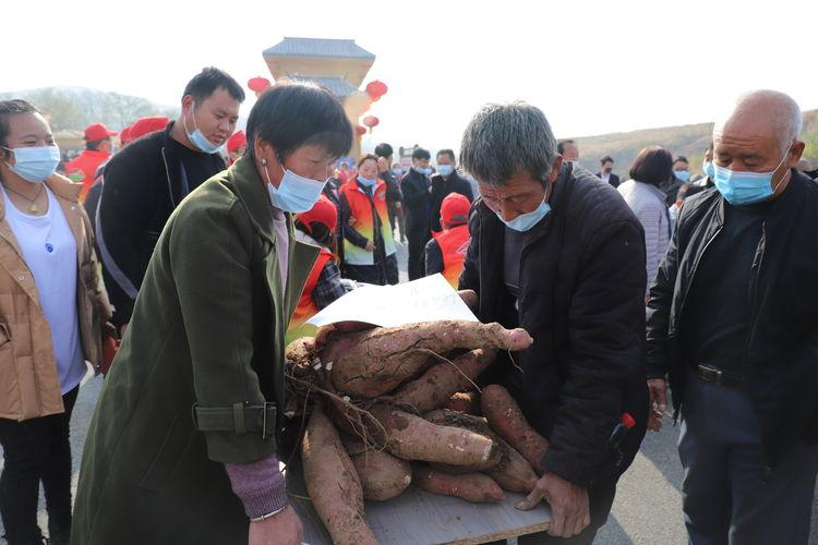 汝阳县文化局领导团队引领文化繁荣，开启发展新篇章