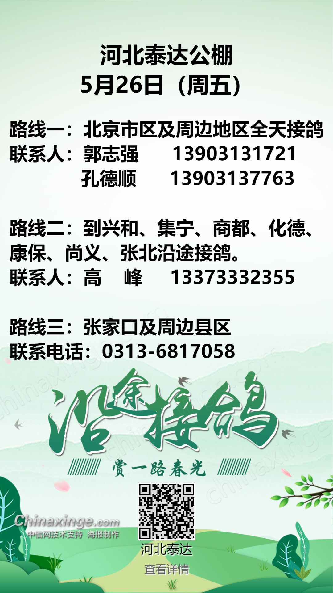 泰达公棚最新公告深度解读