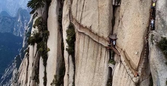 华山跳崖女主命运转折揭秘，最新消息与深度解读