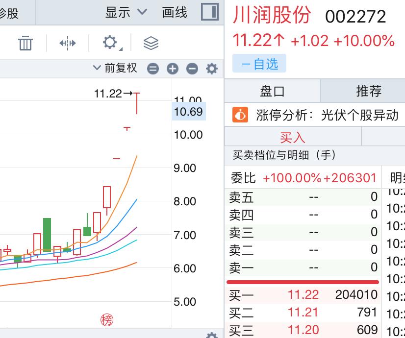 宝光股份最新消息全面解读与分析