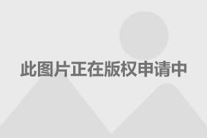 房产新闻速递，市场趋势、政策动态与行业前景展望