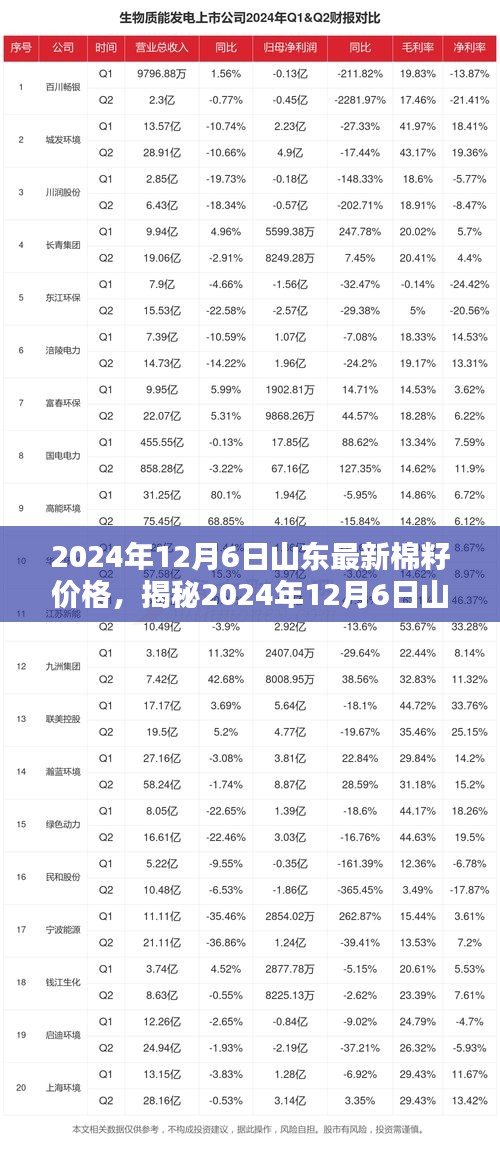 棉花价格最新动态解析