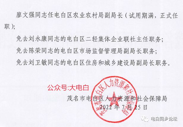 嘉禾县文化局人事任命揭晓，开启文化事业新篇章