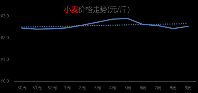 山东今日小麦最新价格