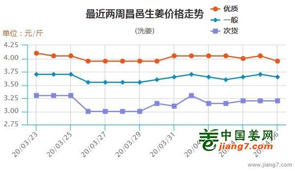 生姜网最新价格行情解析