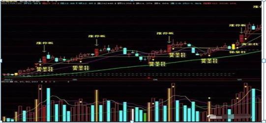 冠福股份最新动态全面解读