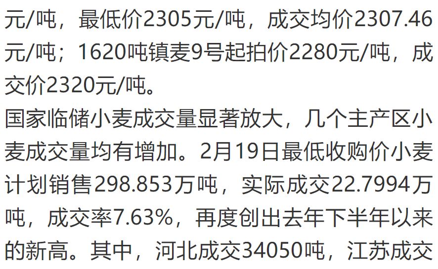 小麦最新行情解析