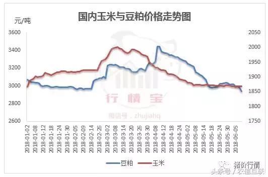 今日豆粕最新价格行情解析