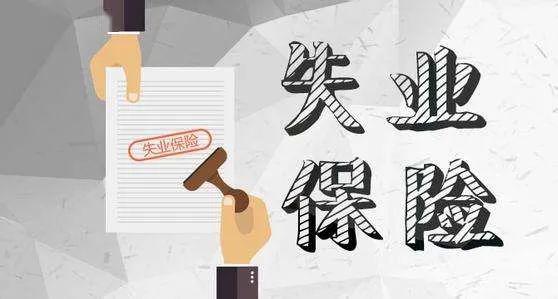 失业保险最新政策深度解读与分析