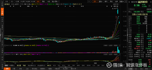 诚邦股份最新消息全面解读与分析