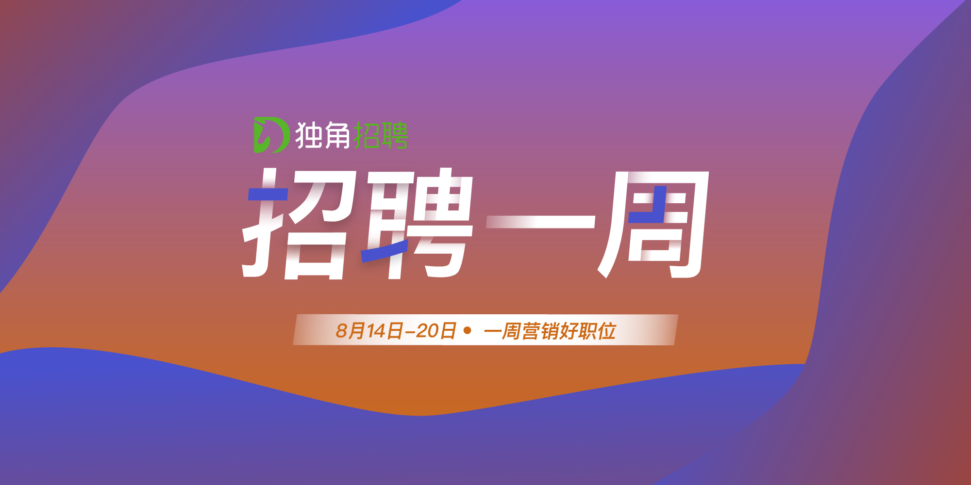 中国招聘网最新招聘动态全面解析