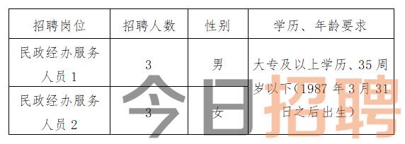 今天峰峰最新招工信息，探寻职业发展的新机遇