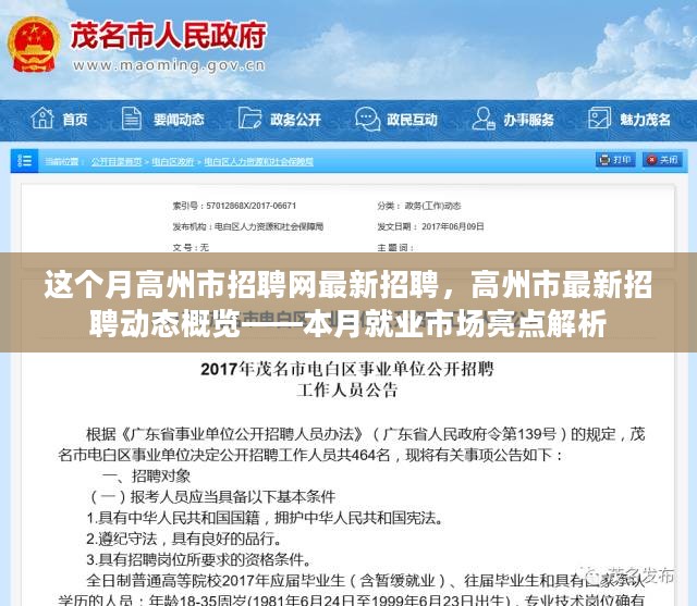 高州招聘网最新招聘动态深度解析