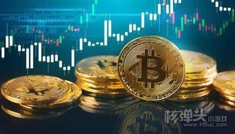 SHIB币最新价格动态解析