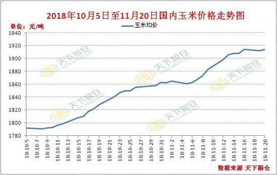 玉米价格最新行情解析