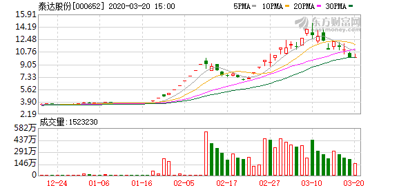 泰达股份最新消息全面解读与分析