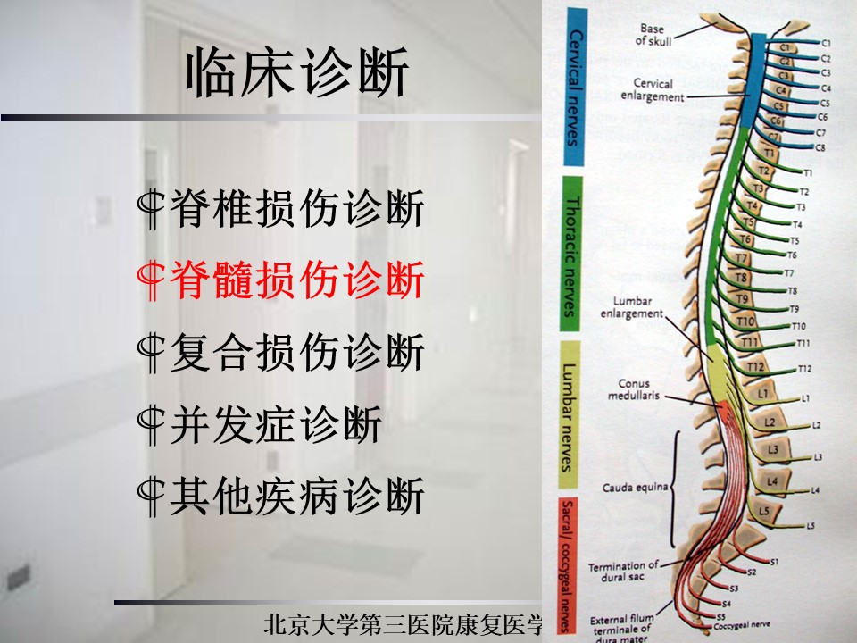 中国脊髓损伤最新治疗进展