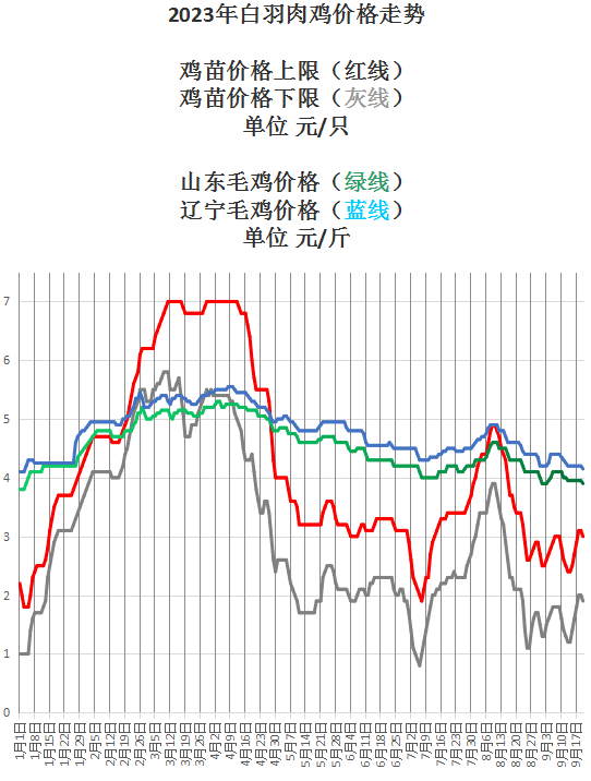 肉鸡最新价格动态解析报告