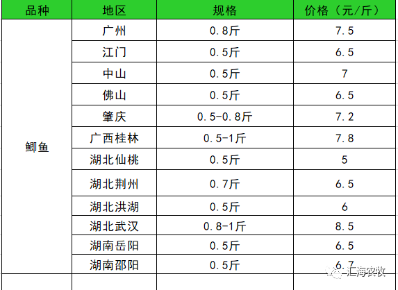 水产市场最新价格行情深度解析