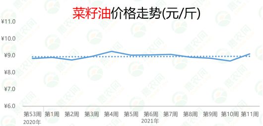 菜籽价格最新行情解析