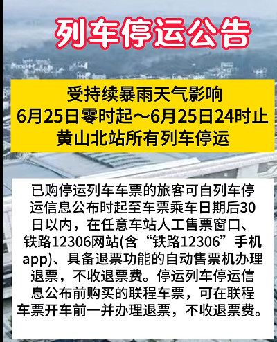 最新列车停运信息，影响、原因及应对策略