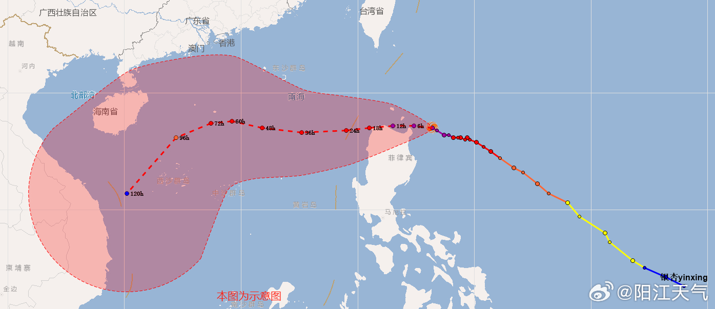 今年台风最新动态与影响分析