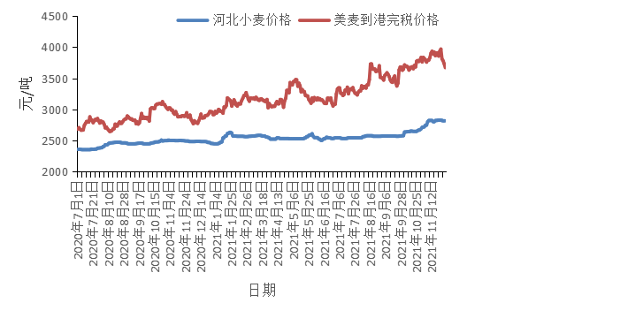 小麦价格最新走势解析