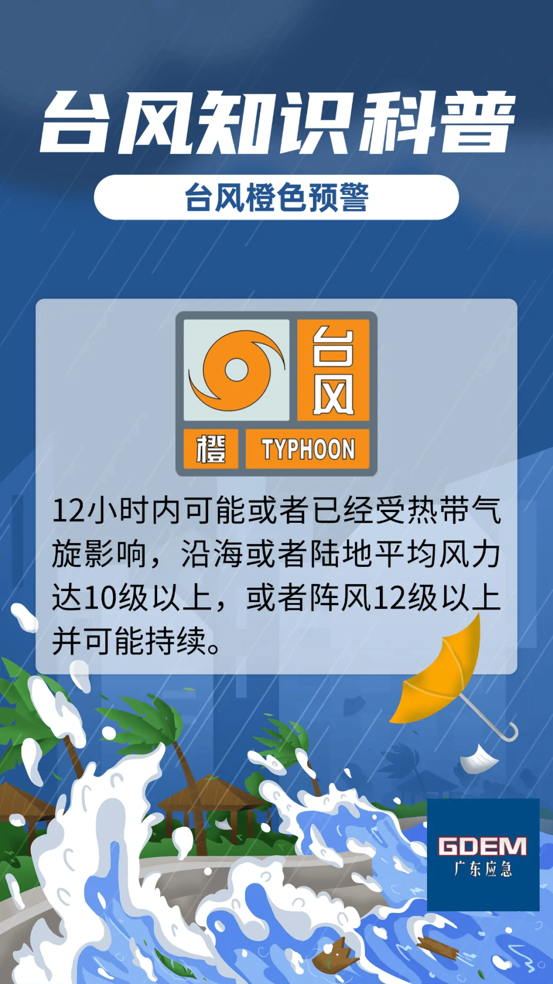 台台风最新动态，影响分析与预测报告