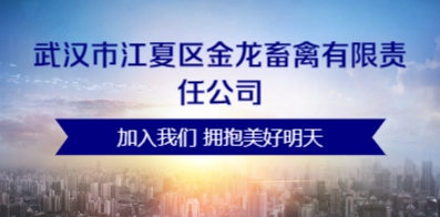 武汉最新招聘动态及其区域人才市场的变革与影响