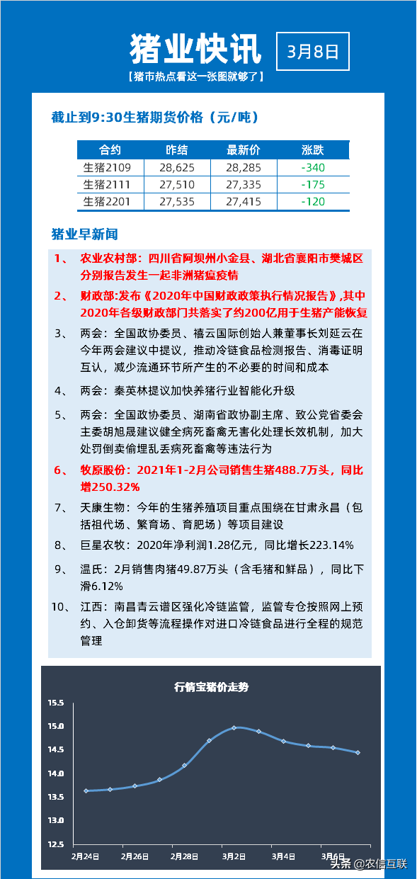 最新猪价交流，市场趋势分析与展望报告