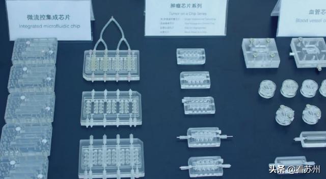 中国人体芯片最新进展，开启健康管理新时代