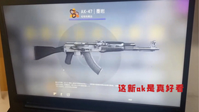 CSGO最新箱子解析与开箱指南