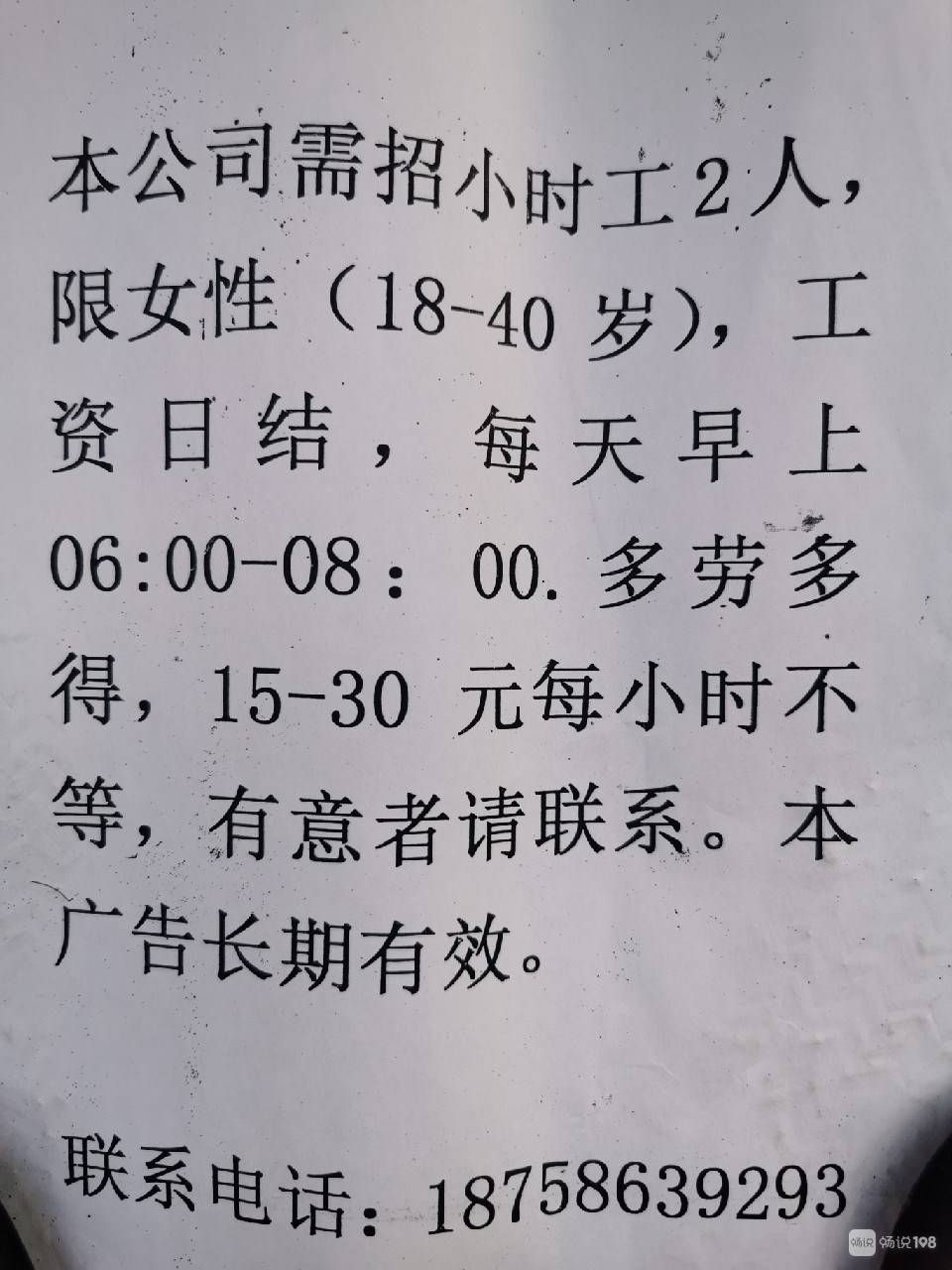 沧州最新临时工招聘信息解读及招聘动态速递