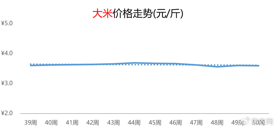 大米最新价格动态解析报告