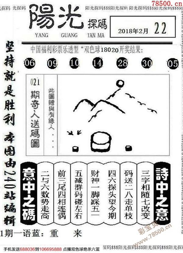 最新阳光探码图，数字世界新奥秘揭秘